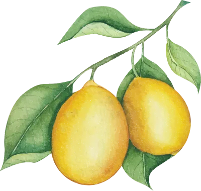 Cítricos de Talará